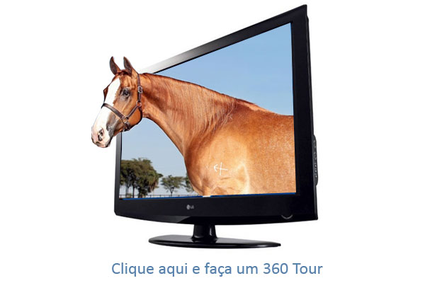 icone-360-tour
